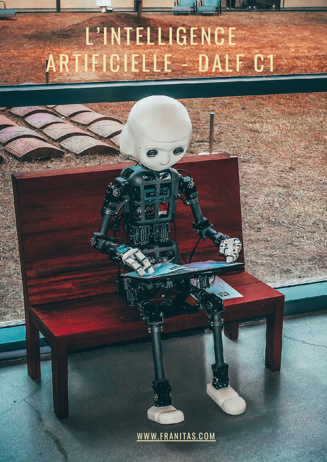 L'intelligence artificielle - DALF C1