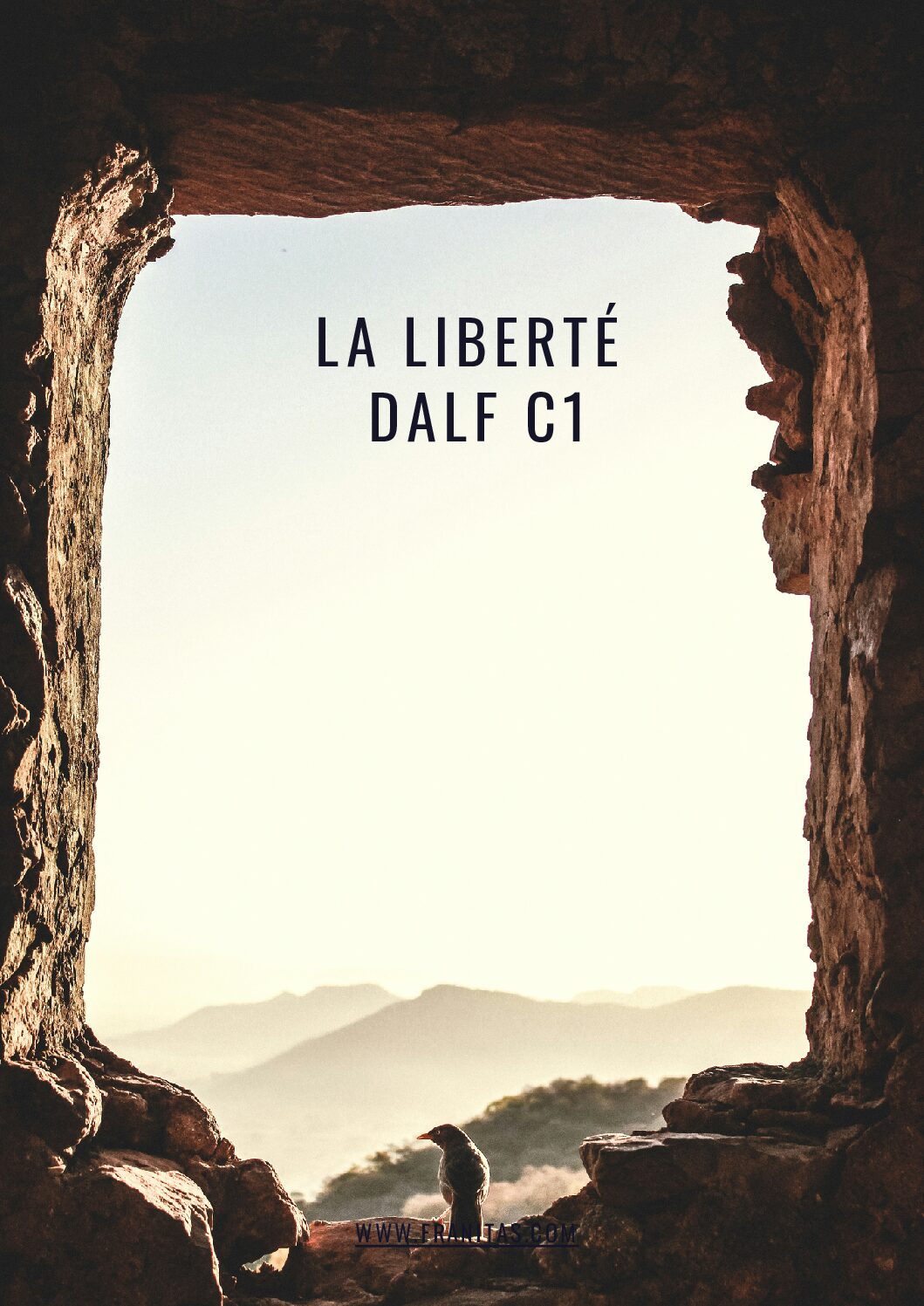 La liberté - Nouvelle version - DALF C1