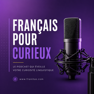 Français pour curieux