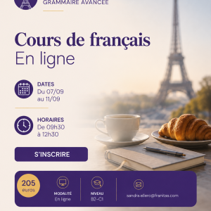 Cours de français avancé (B2/C1) : conversation et grammaire